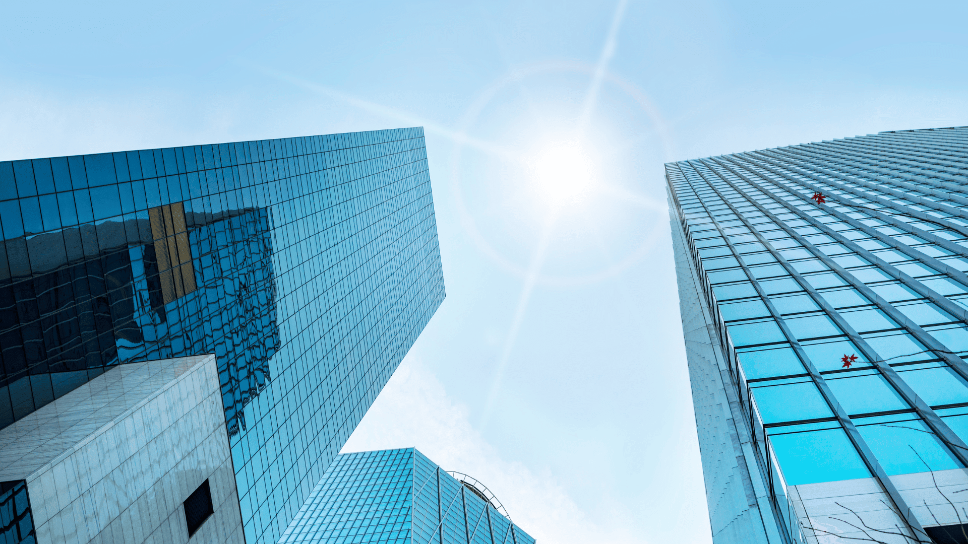 cancelacion-empresas-seguridad